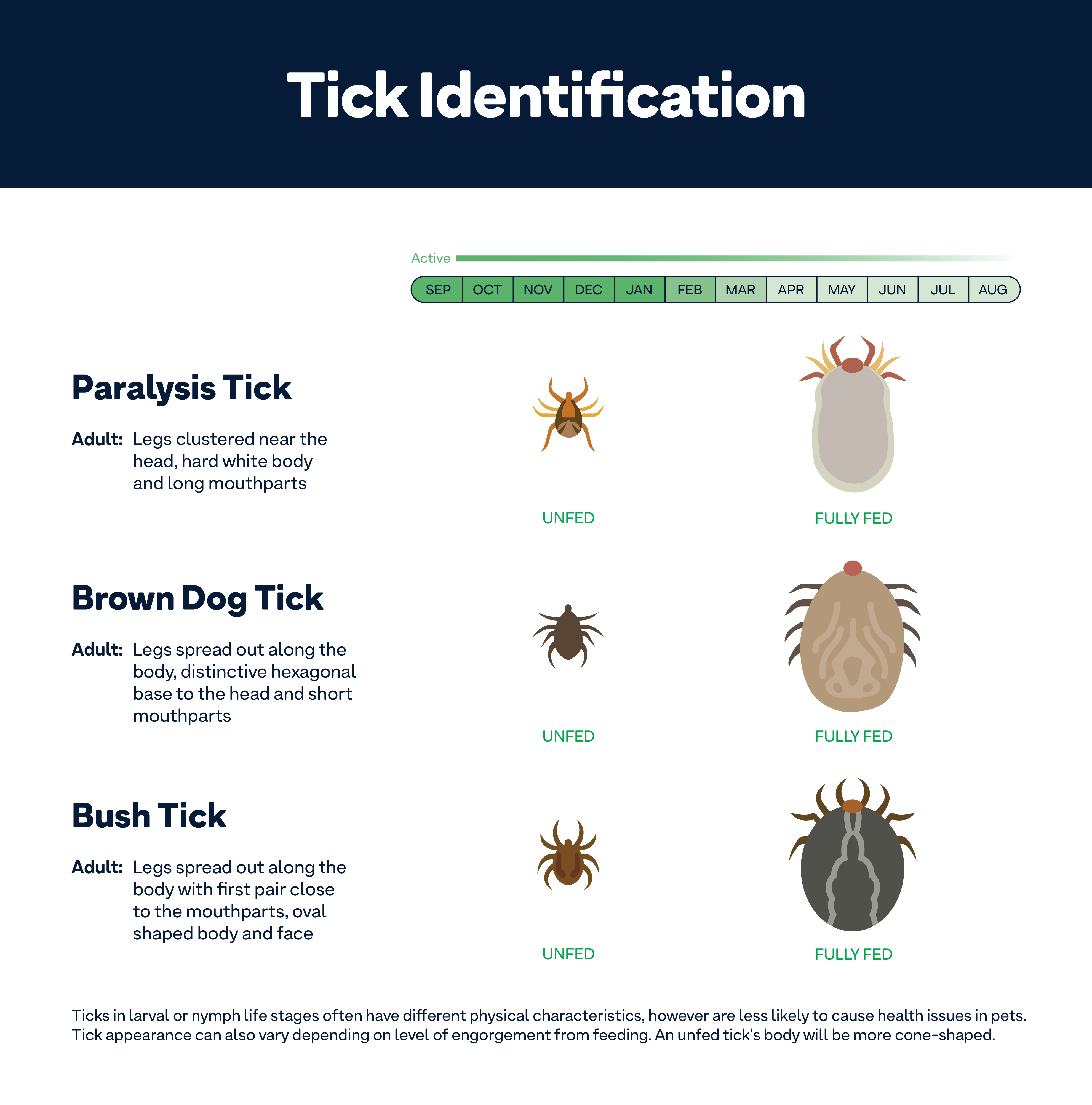 Types Of Tick Bites