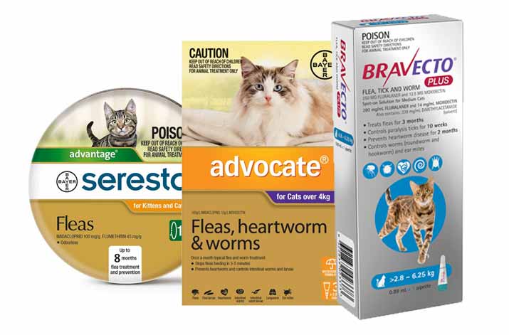 advocate for cats petbarn