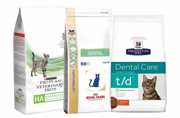 Greencross Vets - Your Pets Health. Australia's Leading Veterinary Group