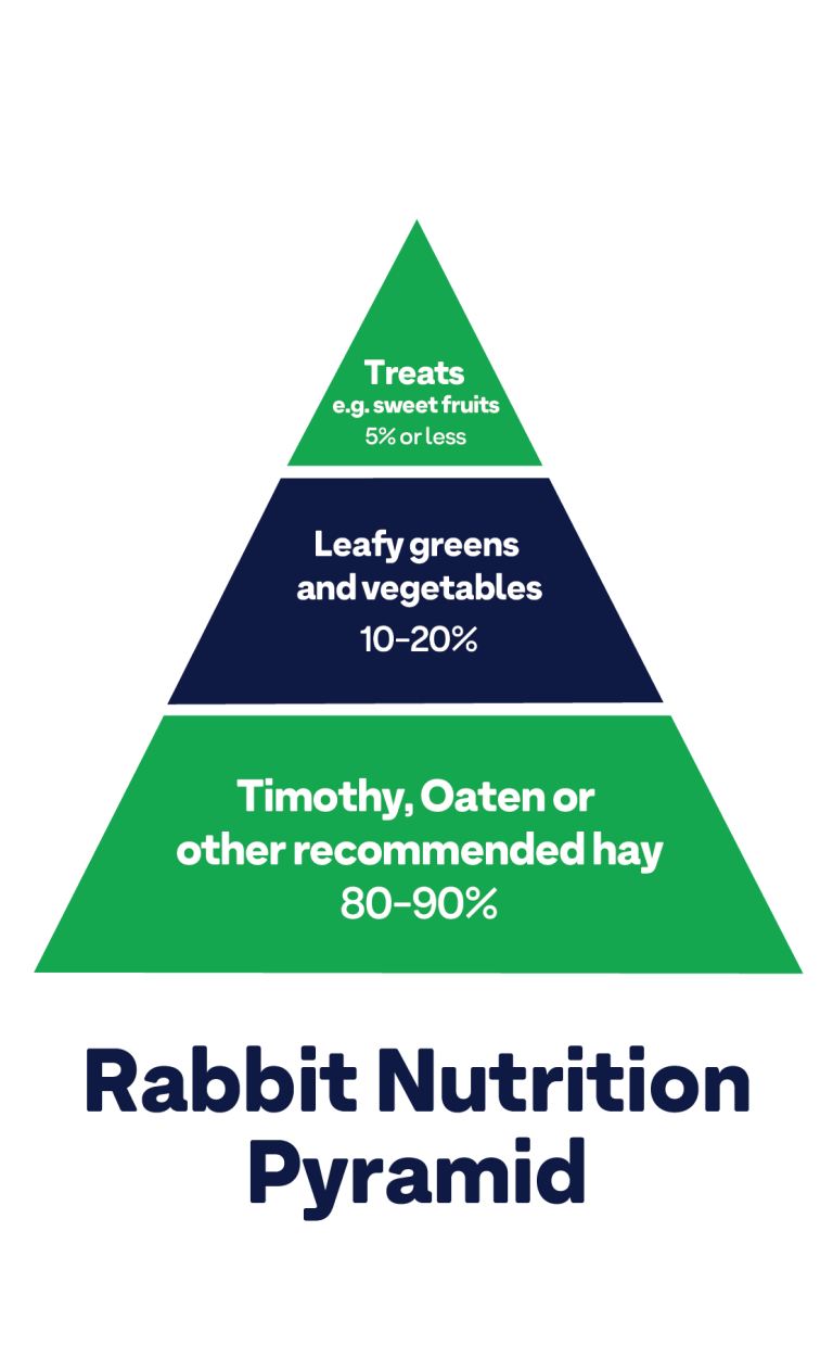 Rabbit Feeding Guide - Greencross Vets