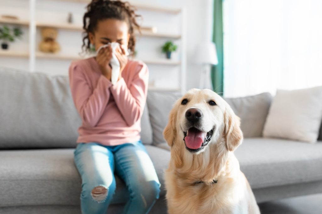 allergies-to-pets-strategies-for-managing-symptoms-greencross-vets