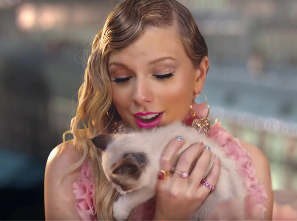 Taylor Swift cat pink